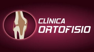 logo Ortofisio